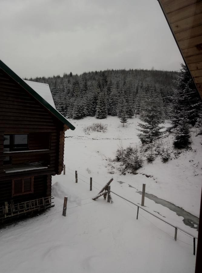 Hotel Wooddream Wołowiec Zewnętrze zdjęcie